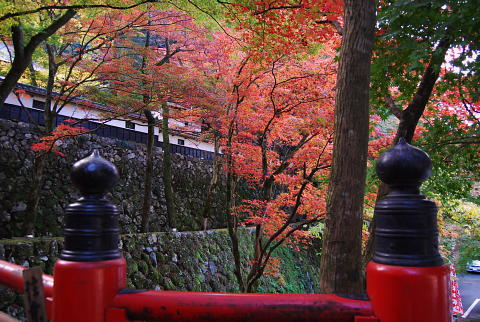 横蔵寺の紅葉